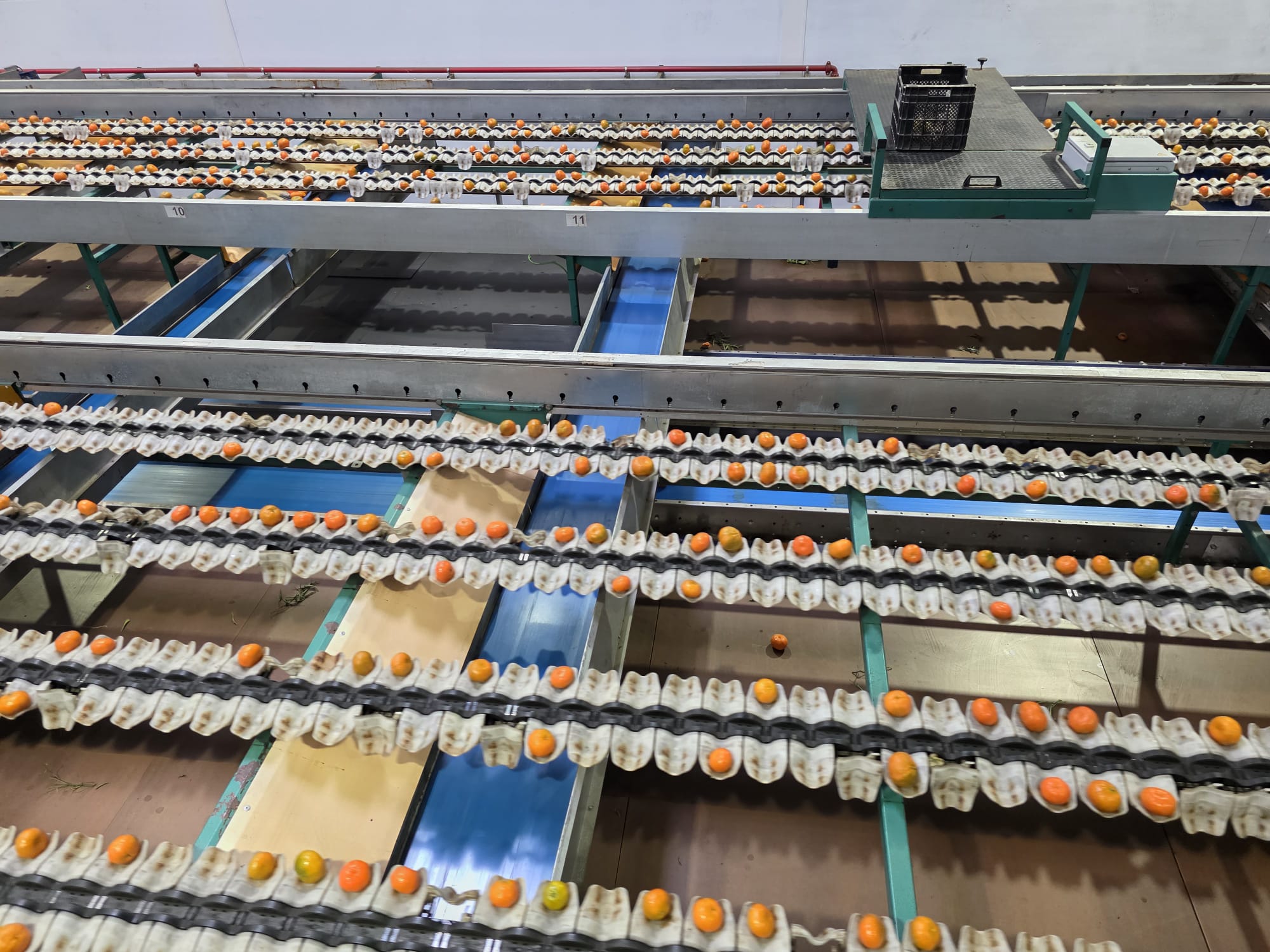 Sorting Machines